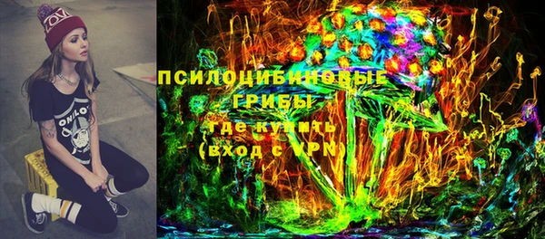 прущий лед Абаза