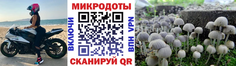 кракен ONION  Рассказово  Галлюциногенные грибы Cubensis 